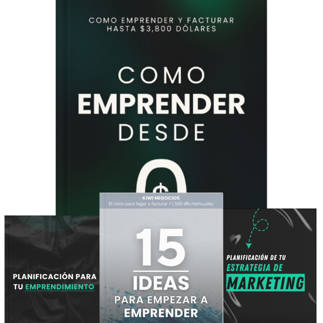 PLAN EMPRENDEDOR